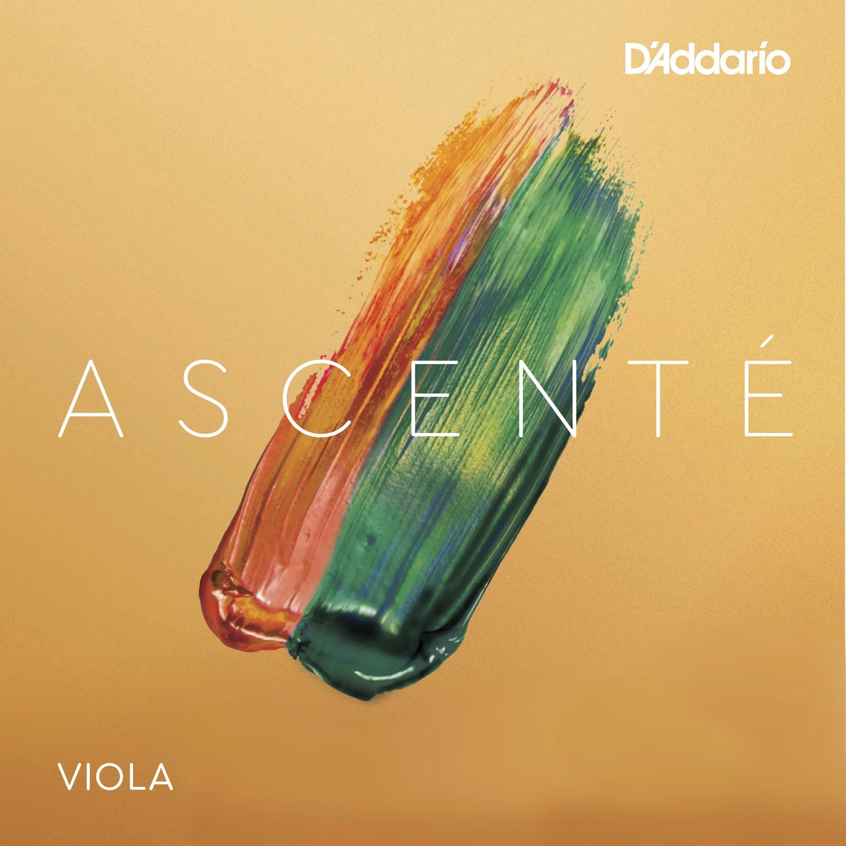 D'Addario - Ascente | Viola